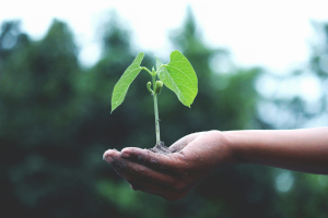 ucdsustainabilitytoolkit.gnomio.com